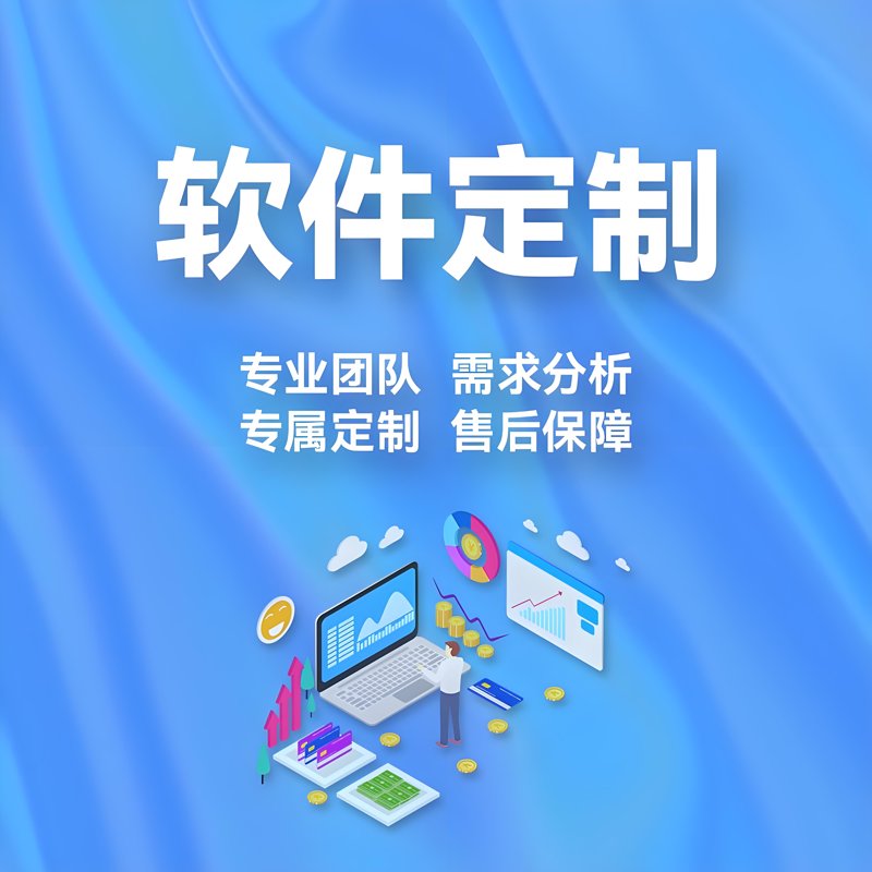 软件定制服务引领企业革新之路